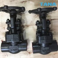 A105N forged steel gate valve