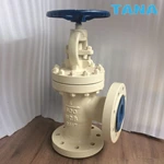 Angle type globe valve