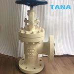 angle type globe valve