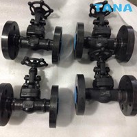 bolted bonnet forged a105 globe valve