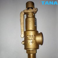 Flanged Brass safety valve