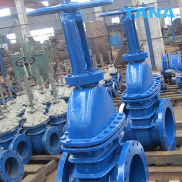 cast iron gate valve