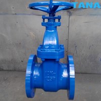 Os&y cast iron gate valve China