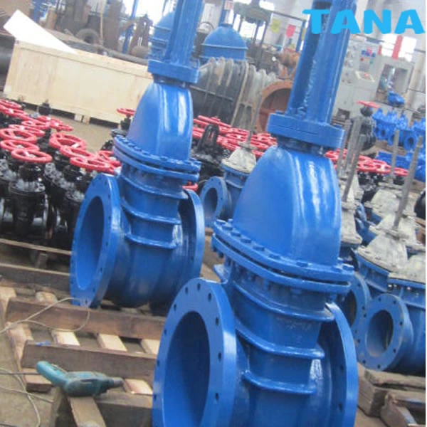 Cast iron gate valve