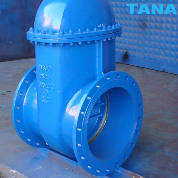 rising stem cast iron gate valve