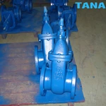 on rising stem cast iron gate valve