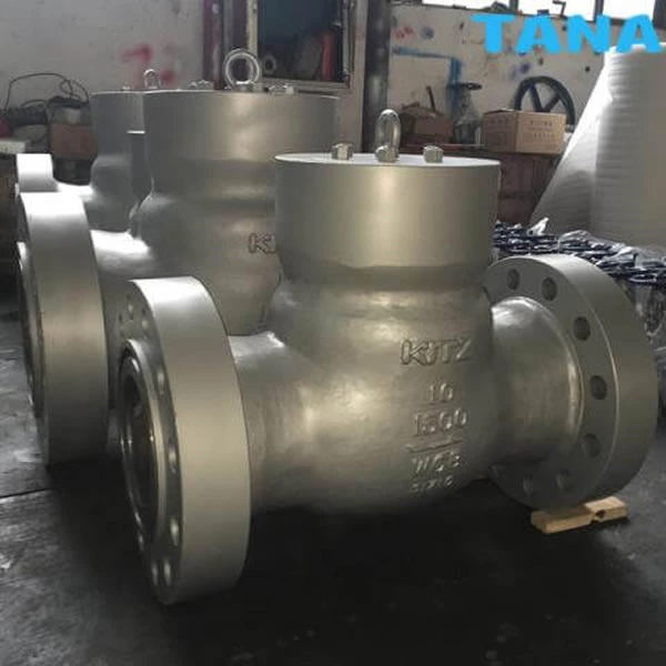 ANSI pressure seal check valve