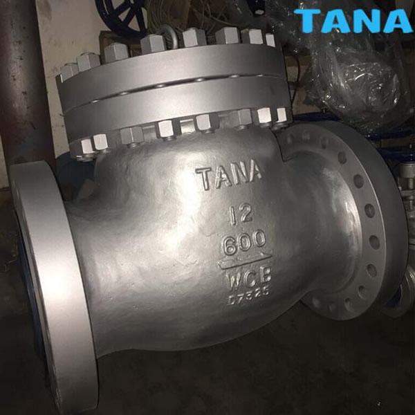 ANSI cast steel check valve