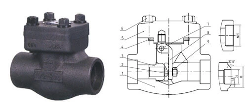 Forged Steel Check Valve