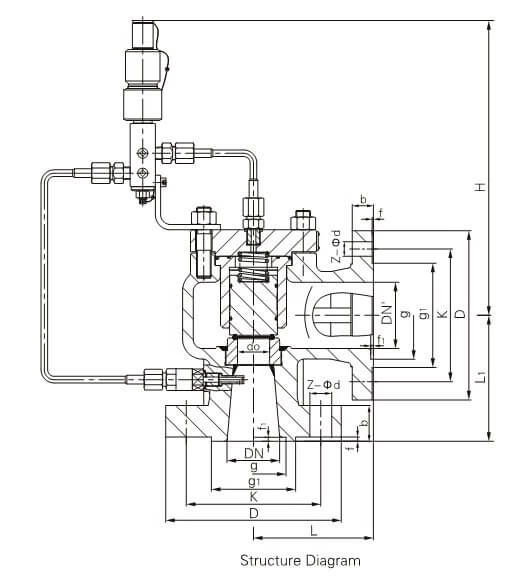 Pilot Operated Safety Relief Valve