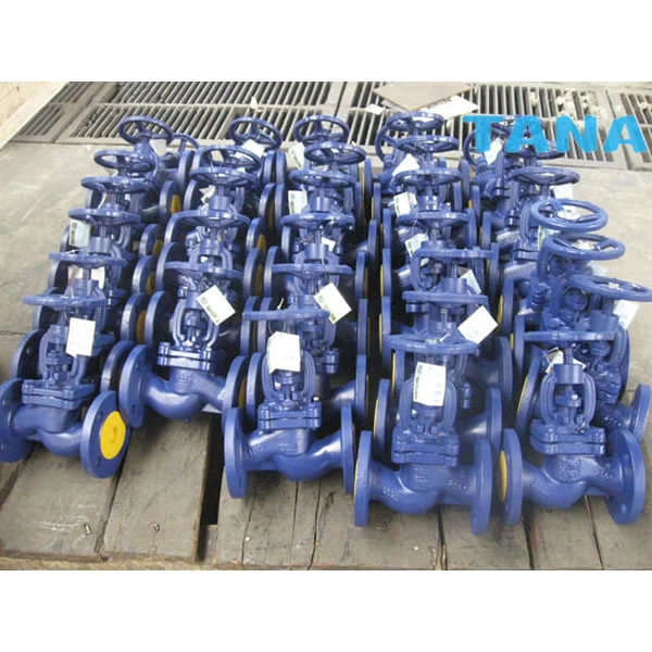 DIN cast iron globe valve