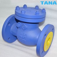 Flanged swing check valve