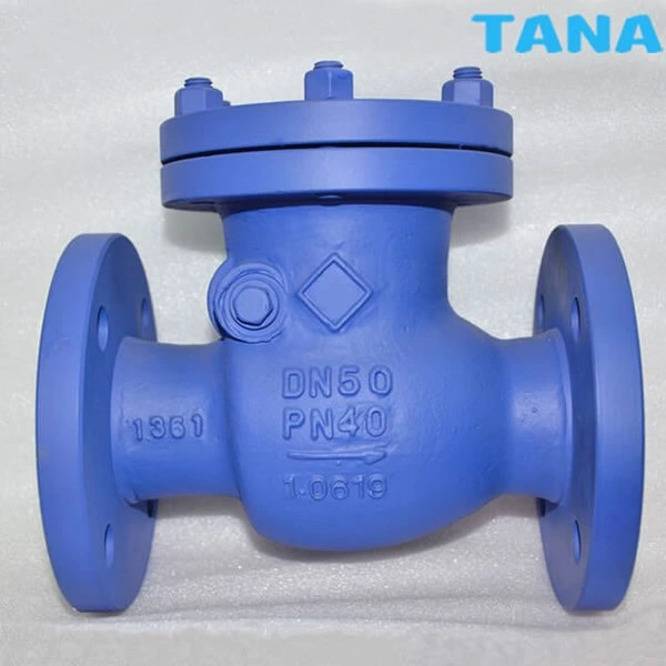 DIN swing check valve