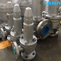 Spring-loaded safety relief valve