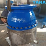 ductile iron foot valve