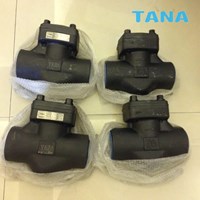 forged steel Flanged check valve China