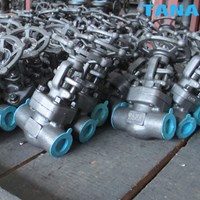 bolted bonnet forged gate valve