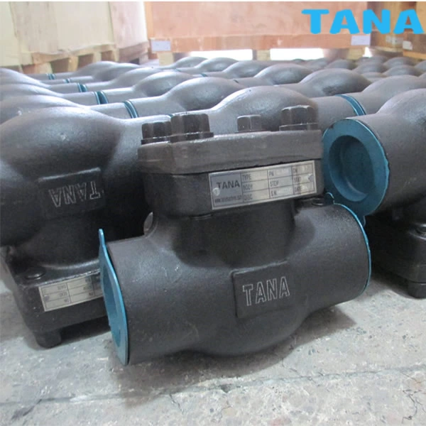 Forged steel check valve