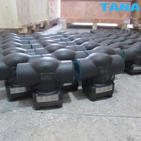 Forged steel F304 check valve