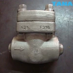 Forged F22 swing check valve