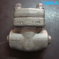 Forged F22 swing check valve