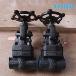 Forged steel gate valves