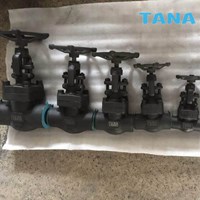 A105 forged steel gate valve