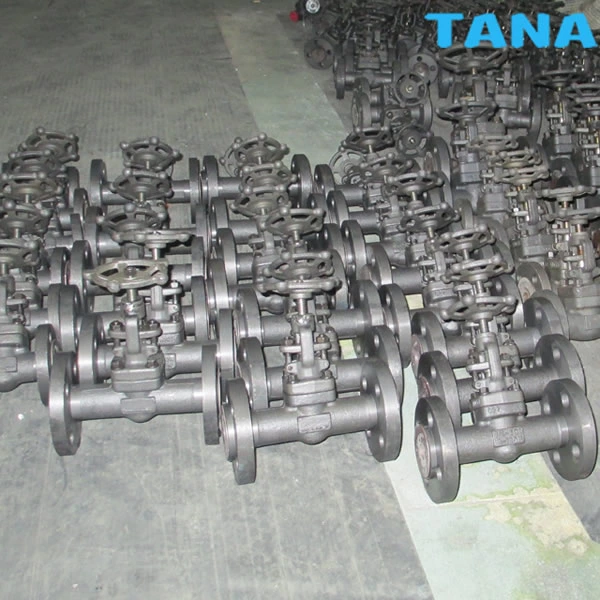 BW 800lb forged A105N globe valve China