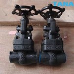 Forged steel globe valve