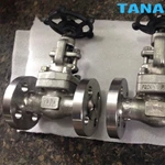 API602 A105N forged globe valve