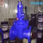 DIN3202 F4 GATE VALVE