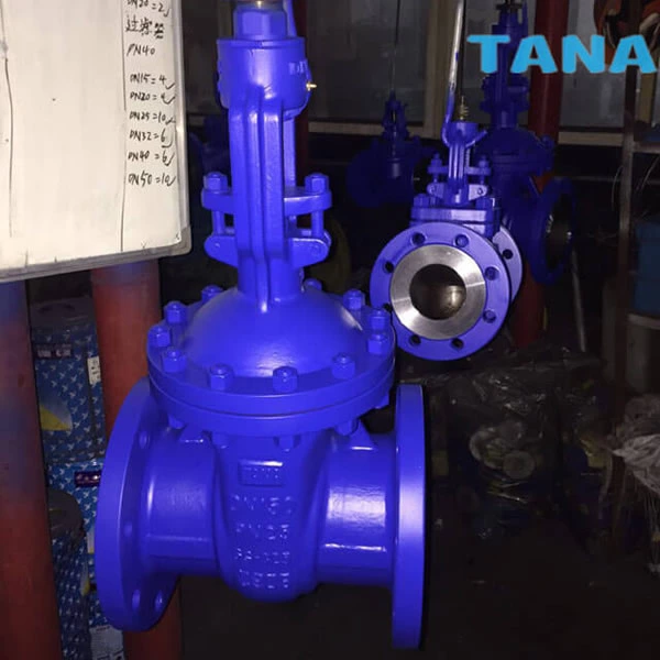 DIN rising stem gate valve