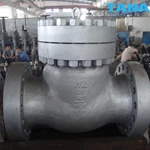 ANSI swing check valve