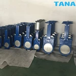 rising stem knife gate valve