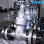 Pressure Seal Gate Valve