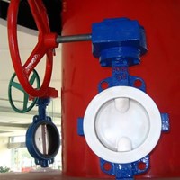 FPA lined butterfly valve