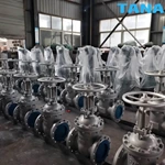 gost standard gate valve