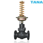 Self-operated Regulator Valve