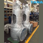 steam pressure relief valve