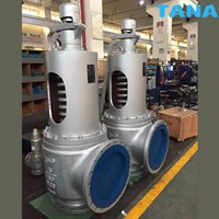 Spring loaded safety relief valve