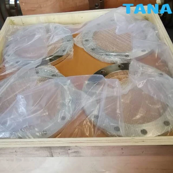 stainless steel plain flange