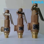 Brass/Bronze Safety Relief Valve