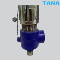 thread npt safety relief valve
