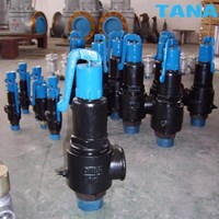 threaded safety relief valve