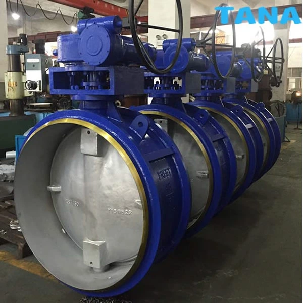 Triple Offset Butterfly Valve