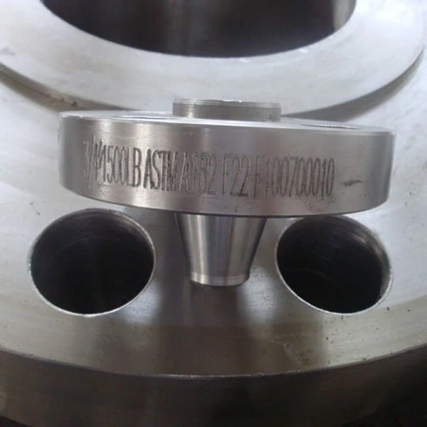 stainless steel wn rf flange