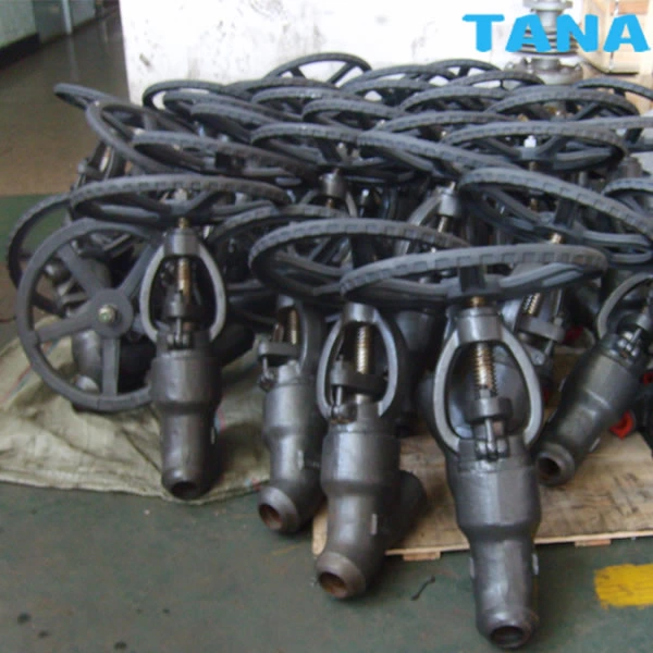 flanged Y type globe valve