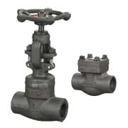 Forged Steel Valve catalogue.pdf