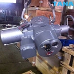 multi-turn series electric actuator