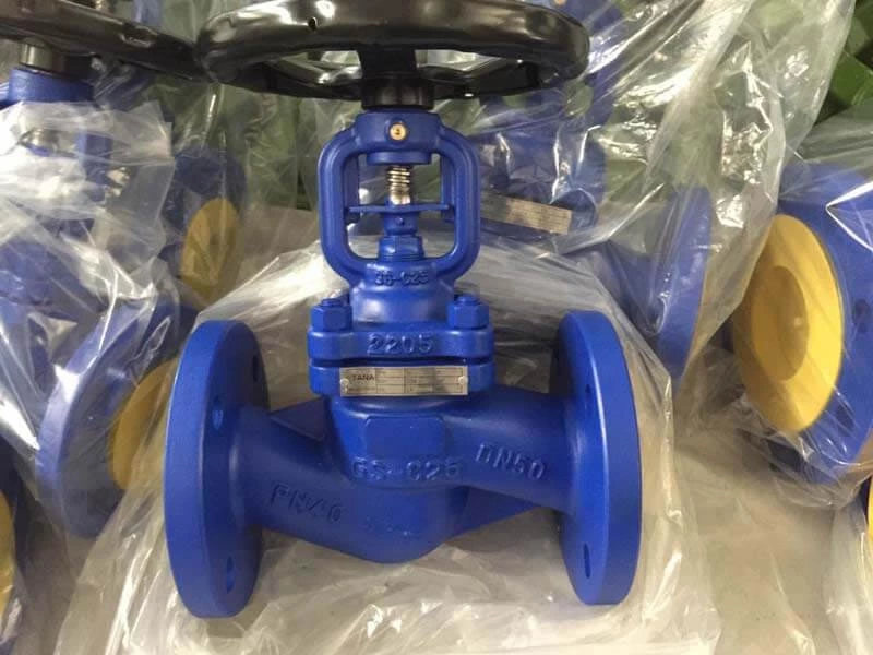 TANA DIN standard bellow seal globe valve Export To Germany Customer